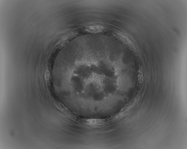 X0000113620371200909181444