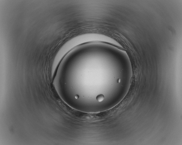 X0000113620372200909181444