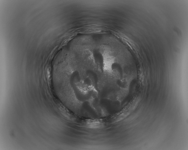 X0000113620373200909181444