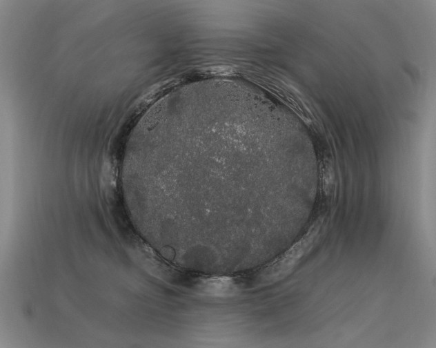 X0000113620374200909181444