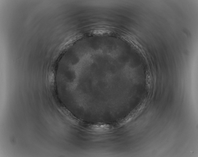 X0000113620375200909181445