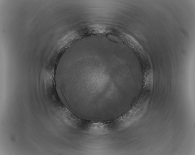 X0000113620376200909181445