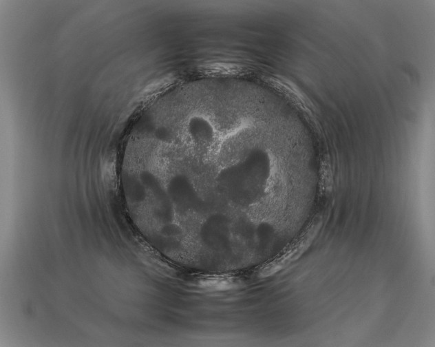 X0000113620377200909181445