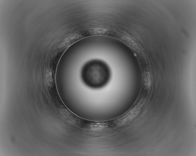 X0000113620378200909181445