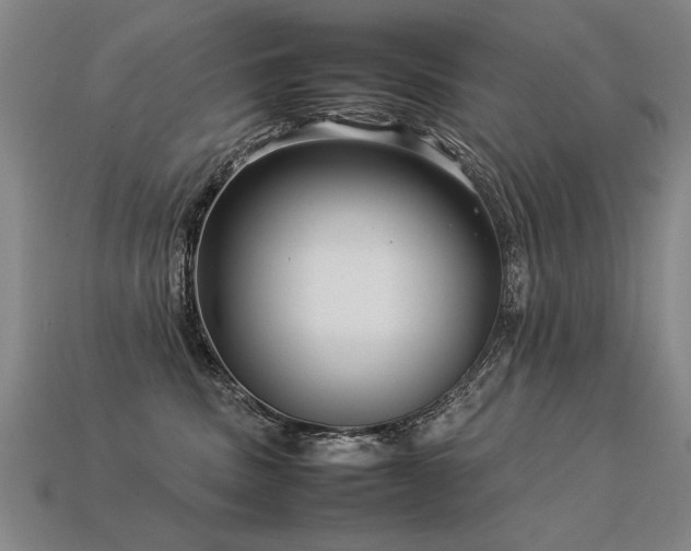 X0000113620379200909181445