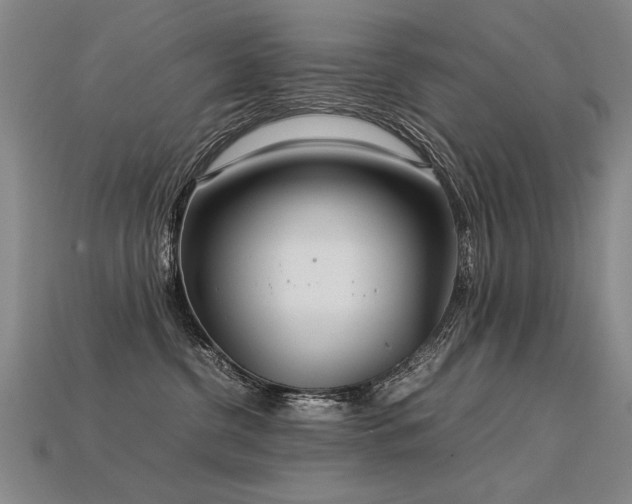 X0000113620380200909181445