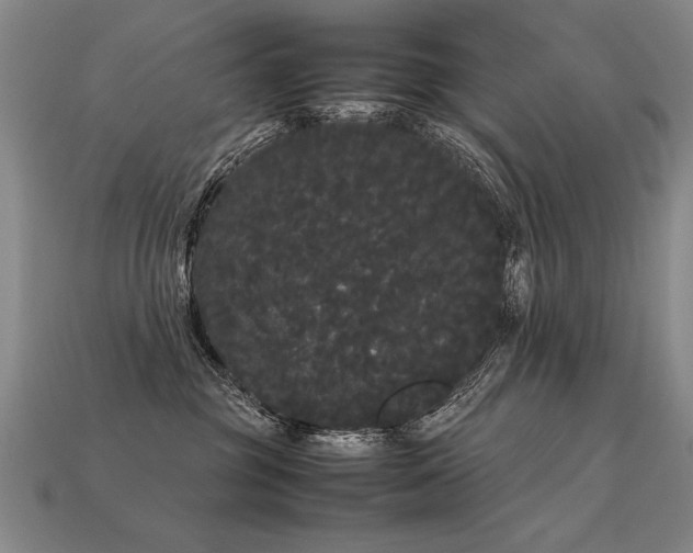 X0000113620381200909181445