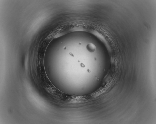 X0000113620382200909181445