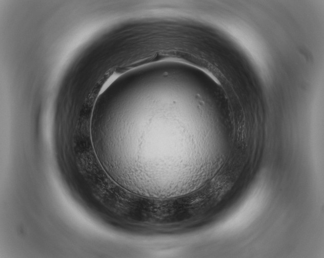 X0000113620383200909181445