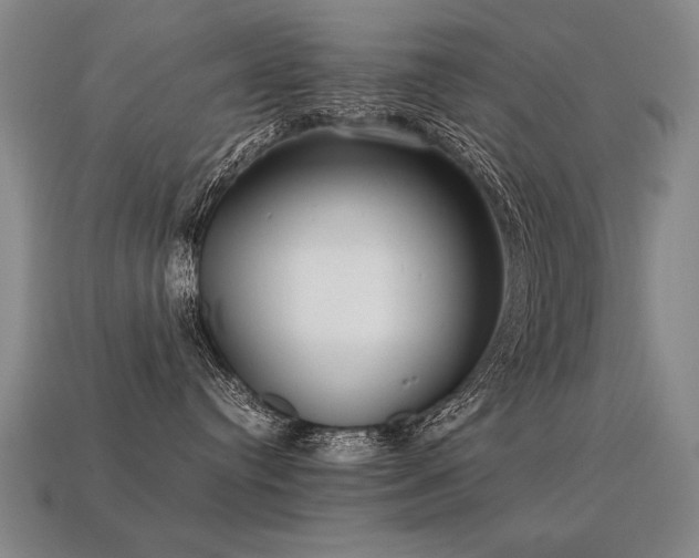 X0000113620384200909181445