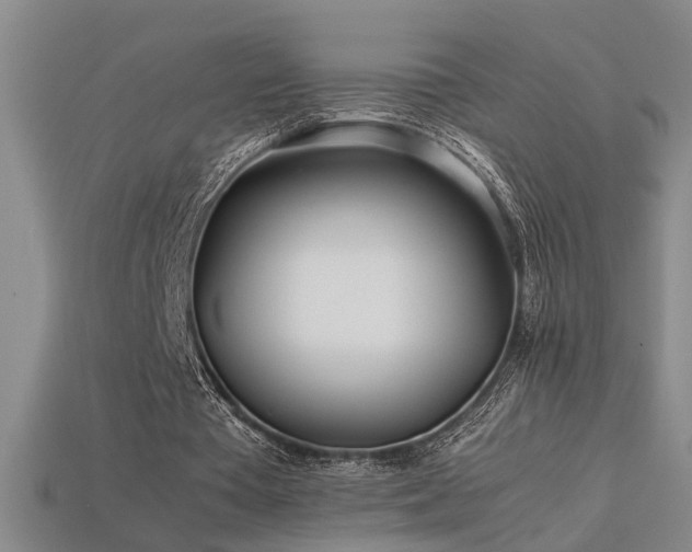 X0000113620385200909181444