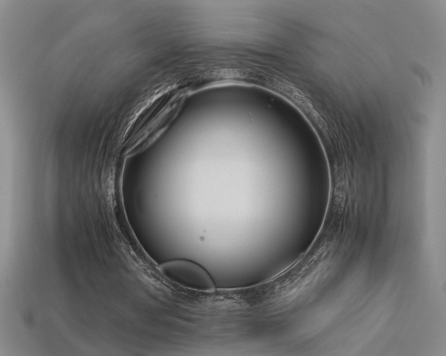 X0000113620386200909181444