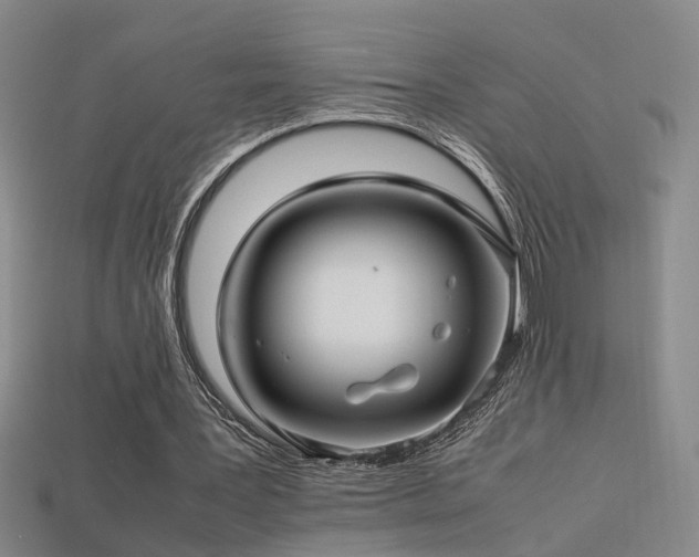 X0000113620387200909181444