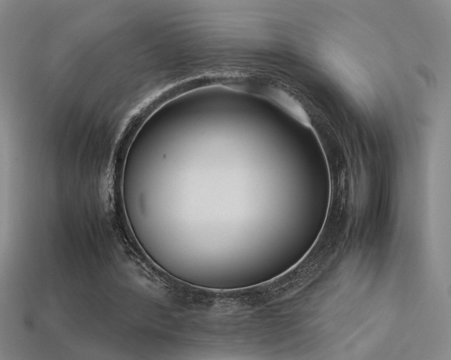 X0000113620388200909181444