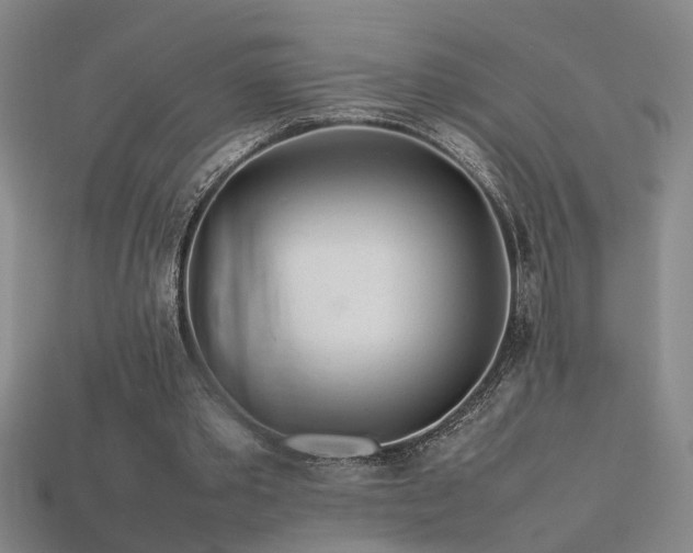 X0000113620389200909181444