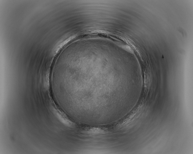 X0000113620390200909181444