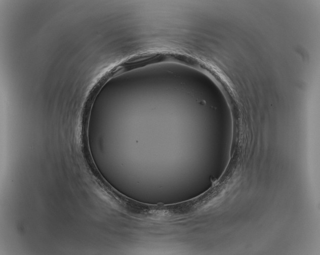 X0000113620391200909181444