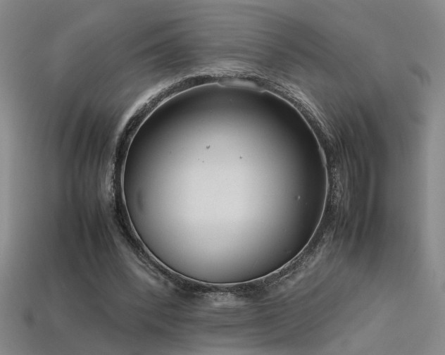 X0000113620392200909181444