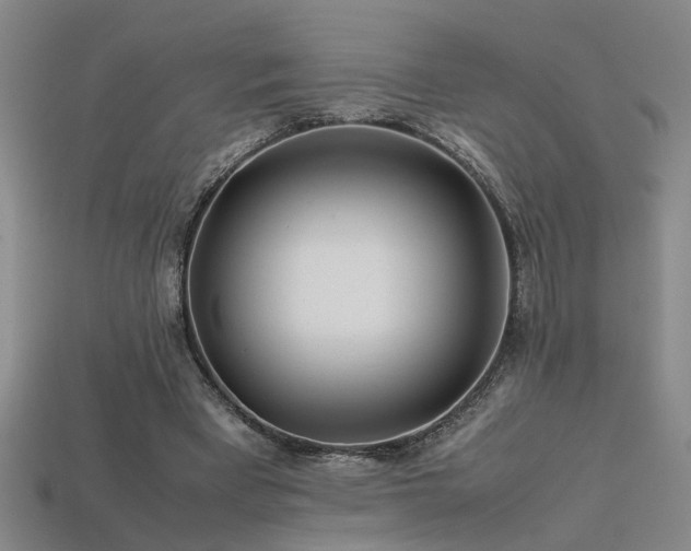 X0000113620393200909181444