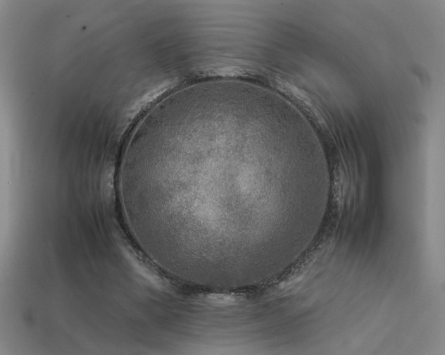 X0000113620394200909181444