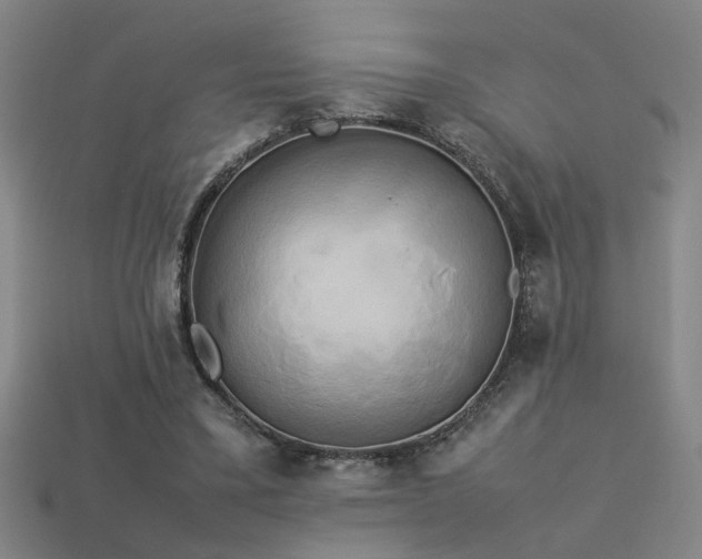 X0000113620395200909181444