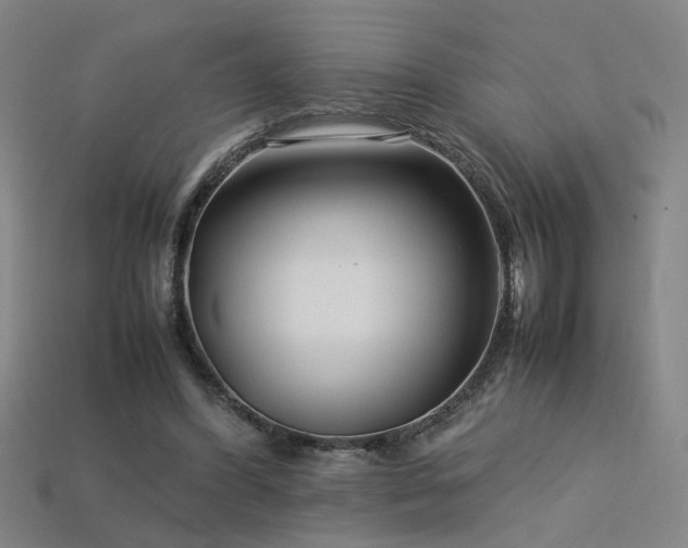 X0000113620396200909181444