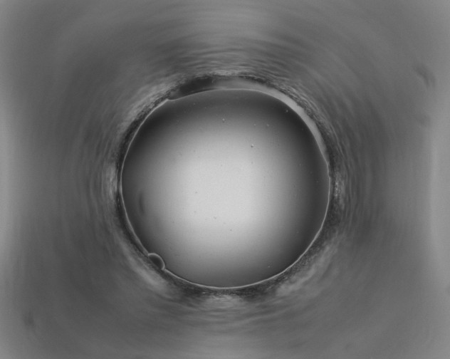 X0000113620397200909181444