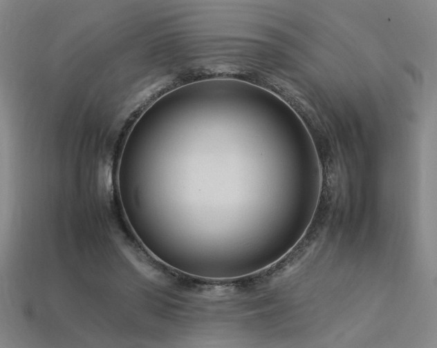 X0000113620398200909181444