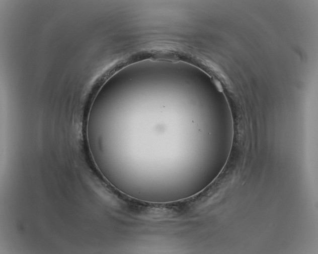 X0000113620399200909181444