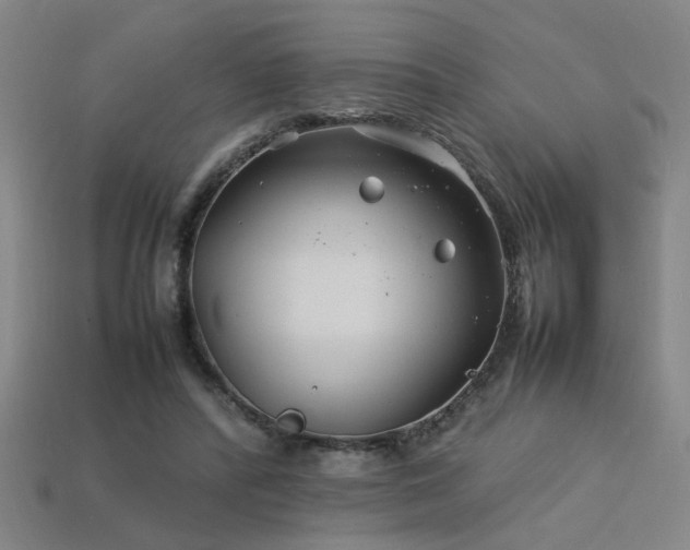 X0000113620400200909181444