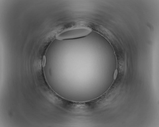 X0000113620401200909181444