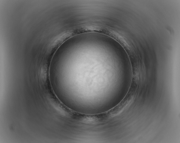 X0000113620402200909181444