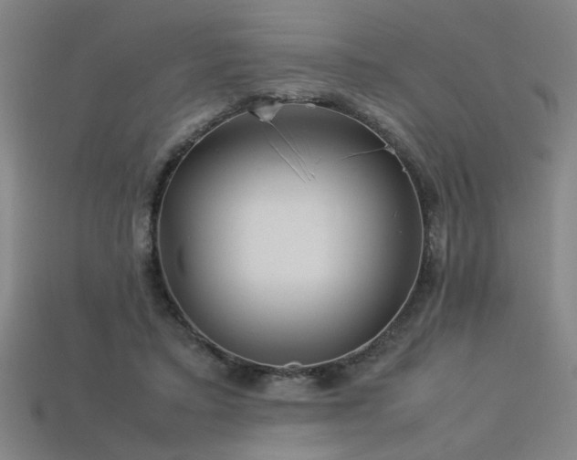 X0000113620403200909181444