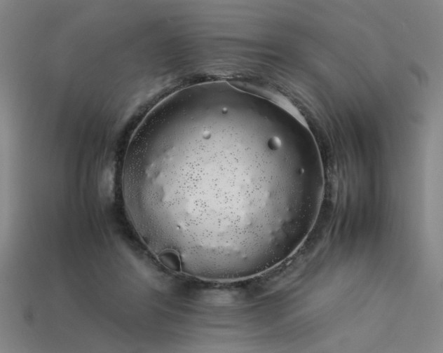 X0000113620404200909181444