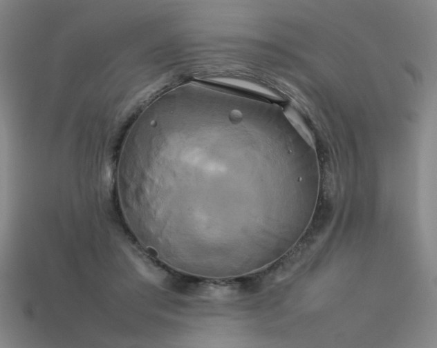 X0000113620405200909181444