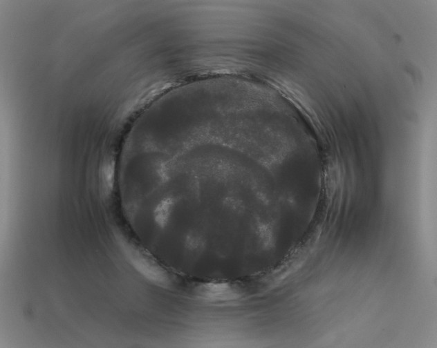 X0000113620406200909181444