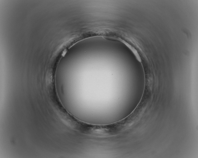 X0000113620407200909181444