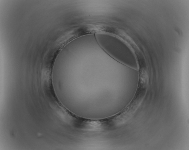 X0000113620409200909181444