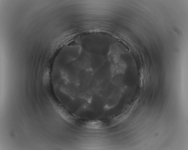 X0000113620410200909181444