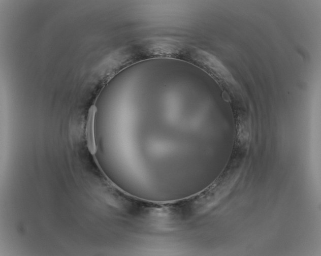 X0000113620411200909181444