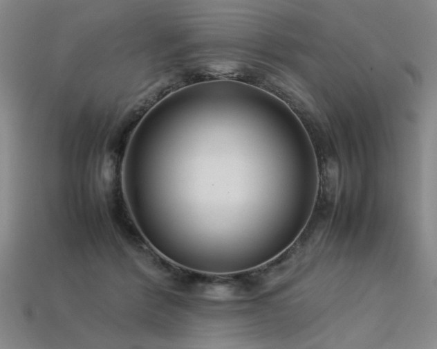 X0000113620412200909181444