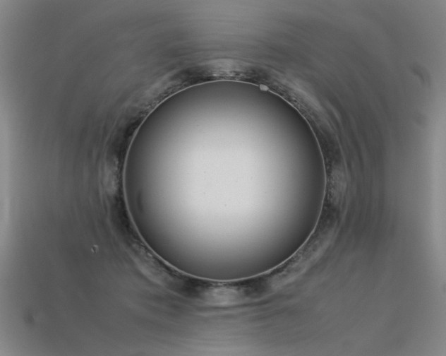 X0000113620413200909181444