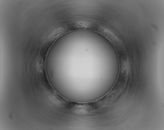 X0000113620414200909181444