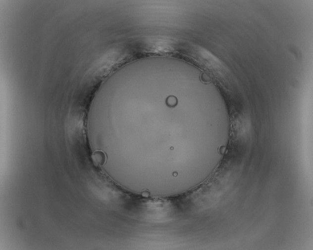 X0000113620415200909181444