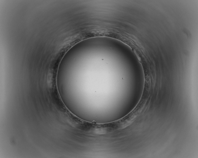 X0000113620416200909181444