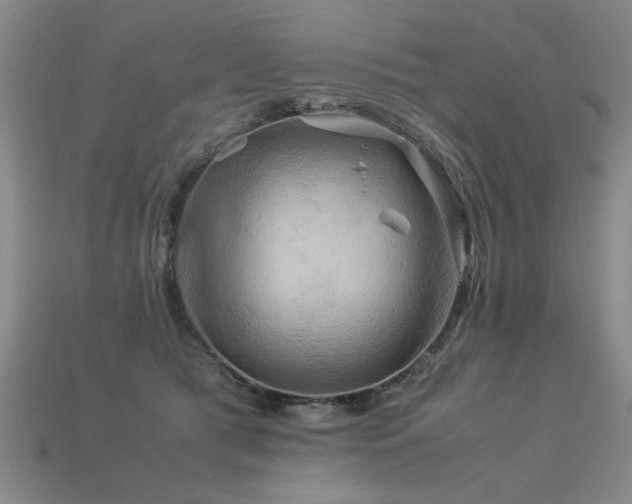 X0000113620417200909181444