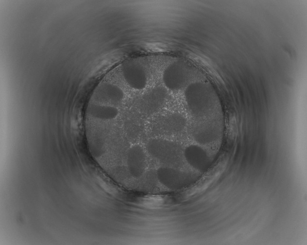 X0000113620418200909181444