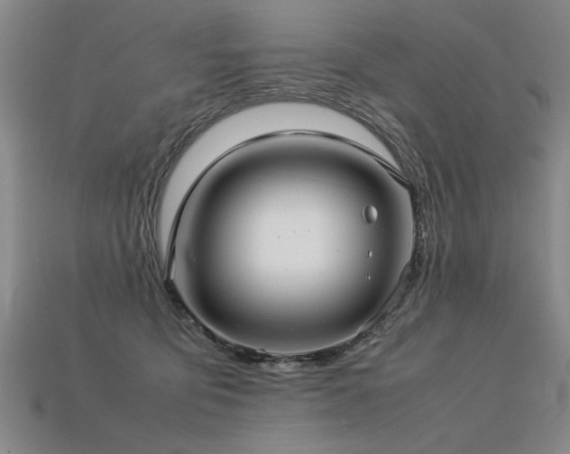 X0000113620419200909181444