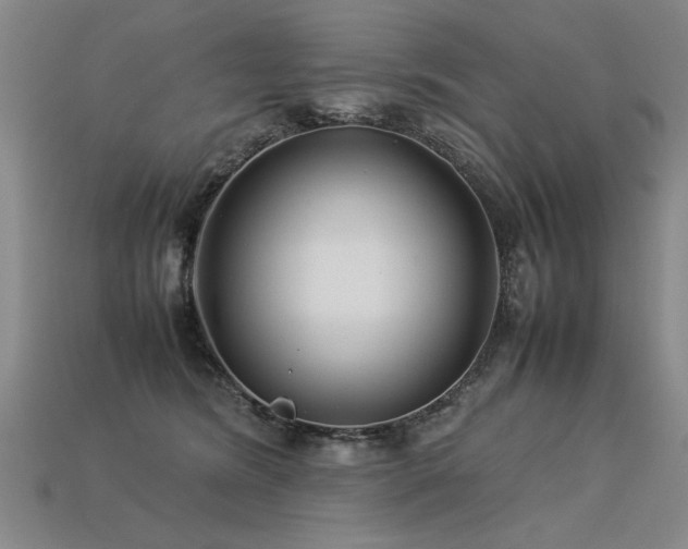 X0000113620420200909181444