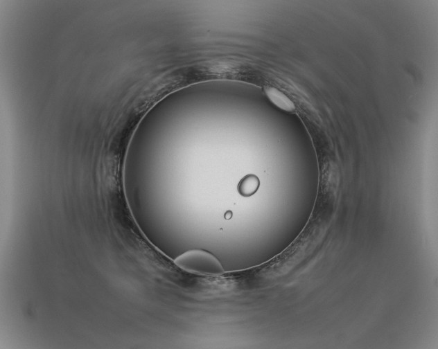 X0000113620421200909181444